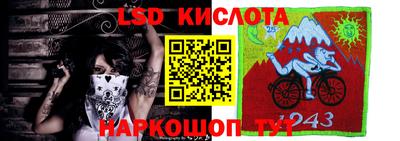 соль ск Шебекино