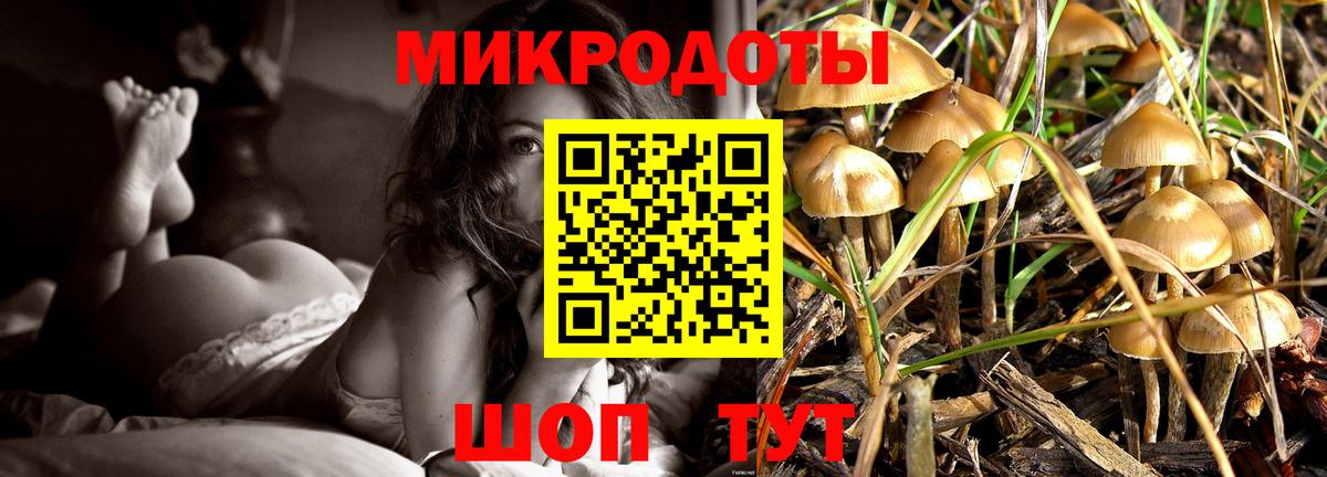 Бердск  сколько стоит  Вход с VPN  Галлюциногенные грибы мицелий 