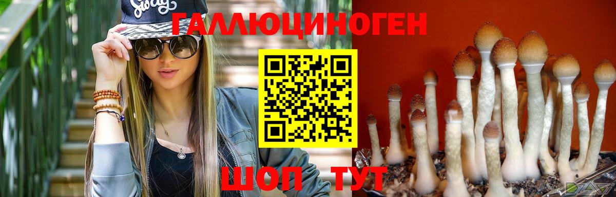 Галлюциногенные грибы прущие грибы Бердск